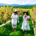 Discovering the Hidden Gems of Stafford County, VA: Wine Tasting Discounts and Deals