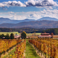 The Best Time to Indulge in the Wines of Stafford County, VA