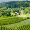 Discovering the Hidden Gems of Organic and Sustainable Wineries in Stafford County, VA