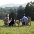 Exploring Pet-Friendly Wineries in Stafford County, VA