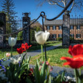 Discovering the Fascinating History and Culture of Winemaking in Stafford County, VA