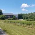 The Ultimate Guide to Exploring the Wineries in Stafford County, VA