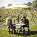 Exploring the Wineries in Stafford County, VA: A Guide to Picnic Areas and Outdoor Seating