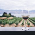 The Ultimate Guide to Planning a Winery Tour in Stafford County, VA