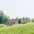 Exploring the Wineries in Stafford County, VA: A Guide to Wine Club Memberships