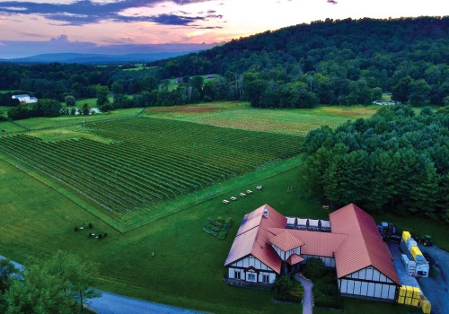 Discover the Best Wineries in Stafford County, VA for Breathtaking Views