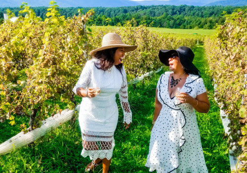 Discovering the Hidden Gems of Stafford County, VA: Wine Tasting Discounts and Deals