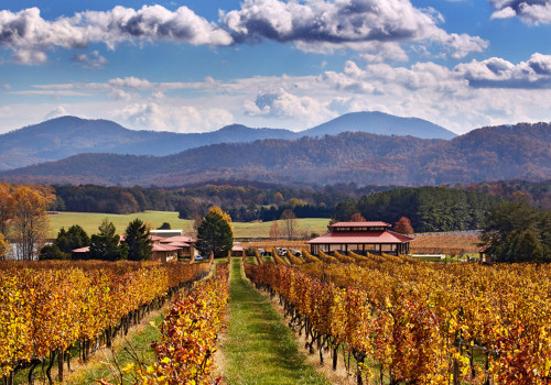 The Best Time to Indulge in the Wines of Stafford County, VA