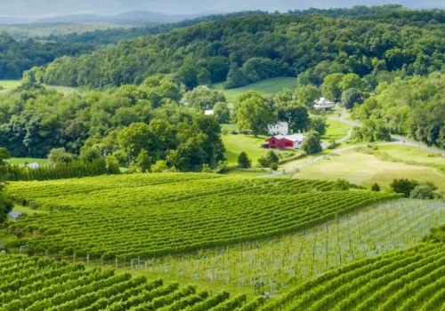 Discovering the Hidden Gems of Organic and Sustainable Wineries in Stafford County, VA