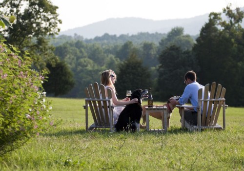 Exploring Pet-Friendly Wineries in Stafford County, VA