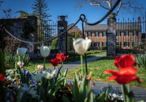 Discovering the Fascinating History and Culture of Winemaking in Stafford County, VA