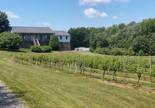 The Ultimate Guide to Exploring the Wineries in Stafford County, VA