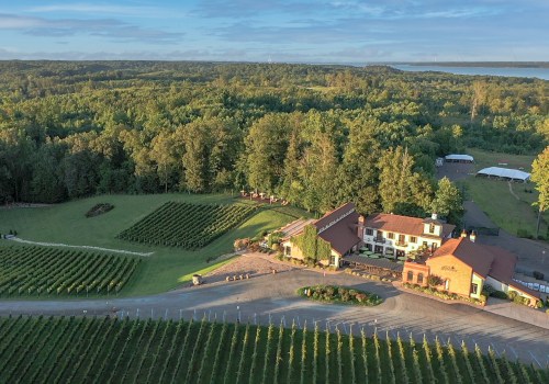 Uncovering the Hidden Gems: A Guide to the Best Wineries in Stafford County, VA