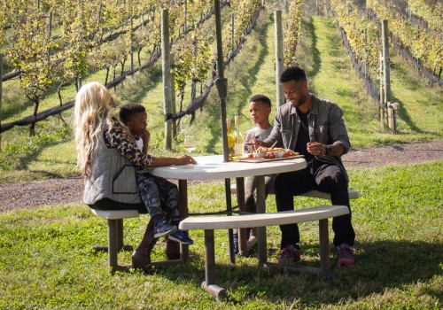 Exploring the Wineries in Stafford County, VA: A Guide to Picnic Areas and Outdoor Seating