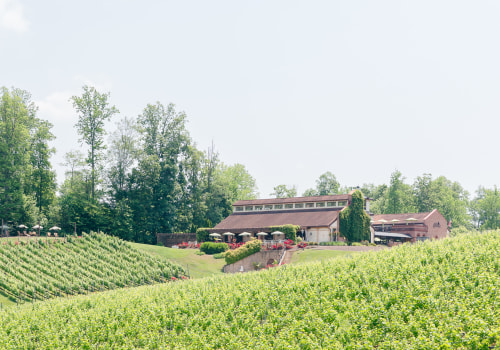 Exploring the Wineries in Stafford County, VA: A Guide to Wine Club Memberships